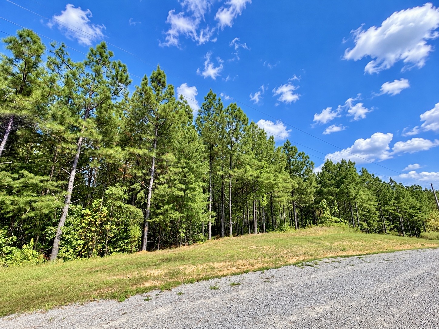 Land for sale at 376 Fox Ridge Dr, Linden, TN 37096 | MLS# 3546027