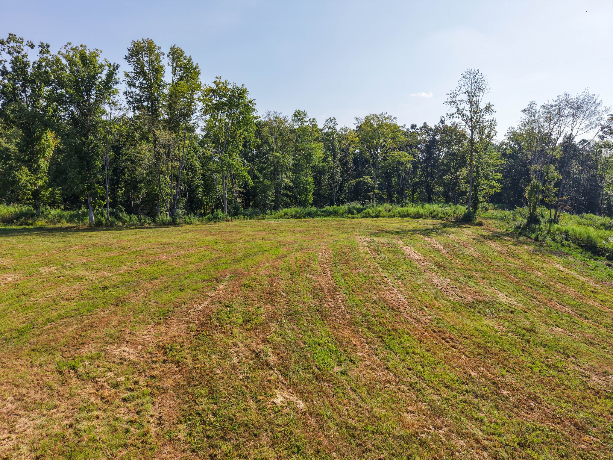 Photo 3 of Land for sale at 0 Bear Ln, Loretto, TN 38469 | MLS# 3594488 | Listing updated on 2026-09-21