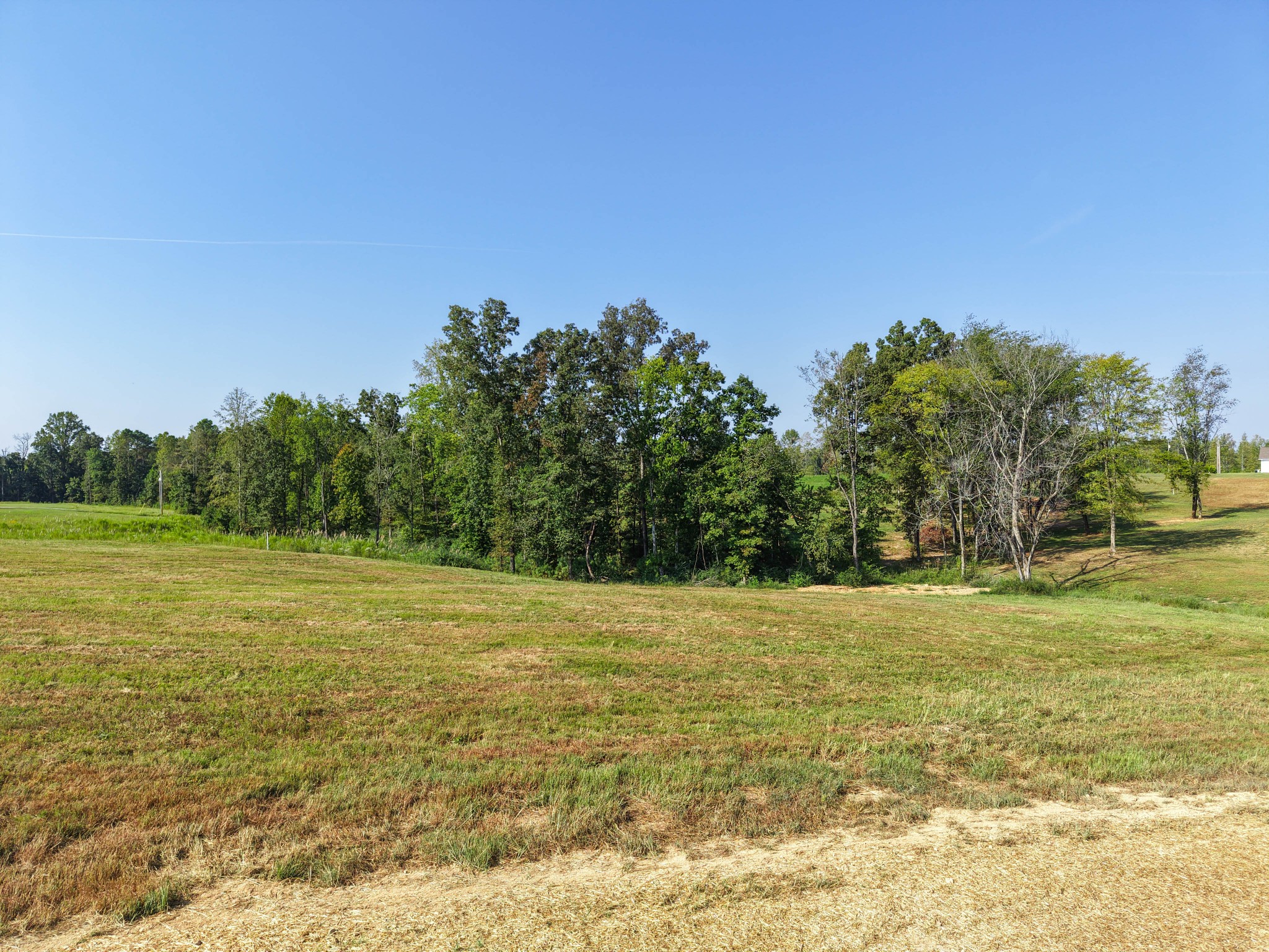 Photo 1 of Land for sale at 0 Bear Dr, Loretto, TN 38469 | MLS# 3594484 | Listing updated on 2026-09-21
