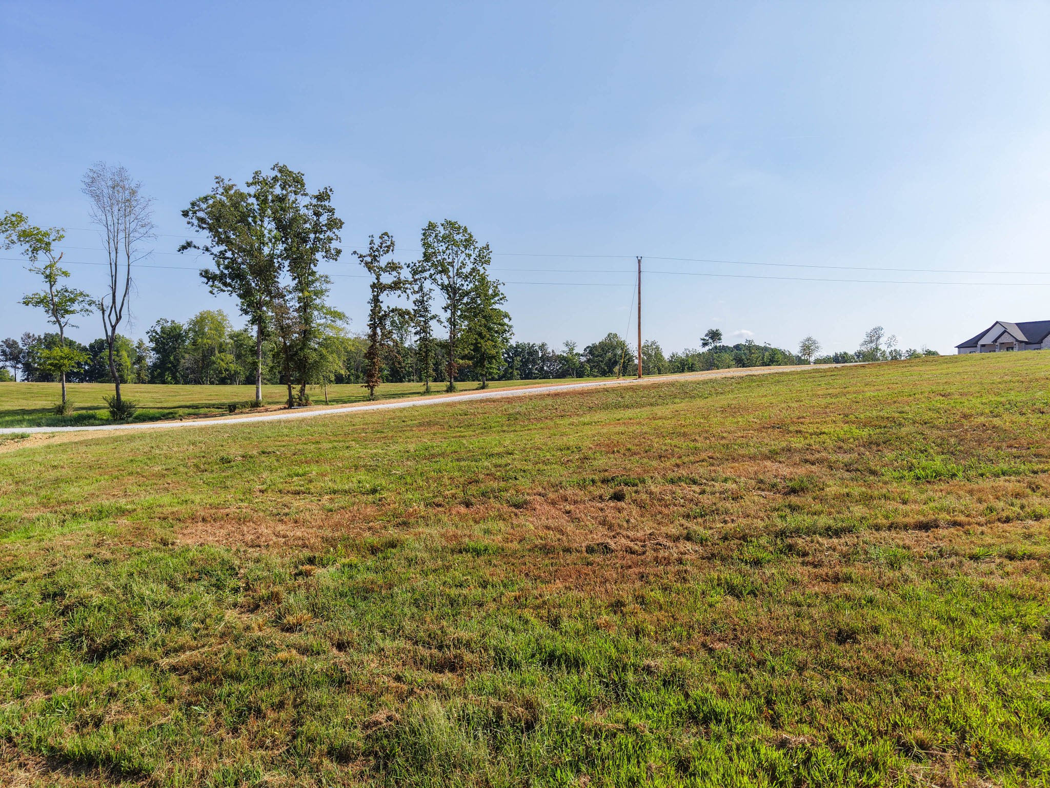 Photo 3 of Land for sale at 0 Bear Dr, Loretto, TN 38469 | MLS# 3594484 | Listing updated on 2026-09-21