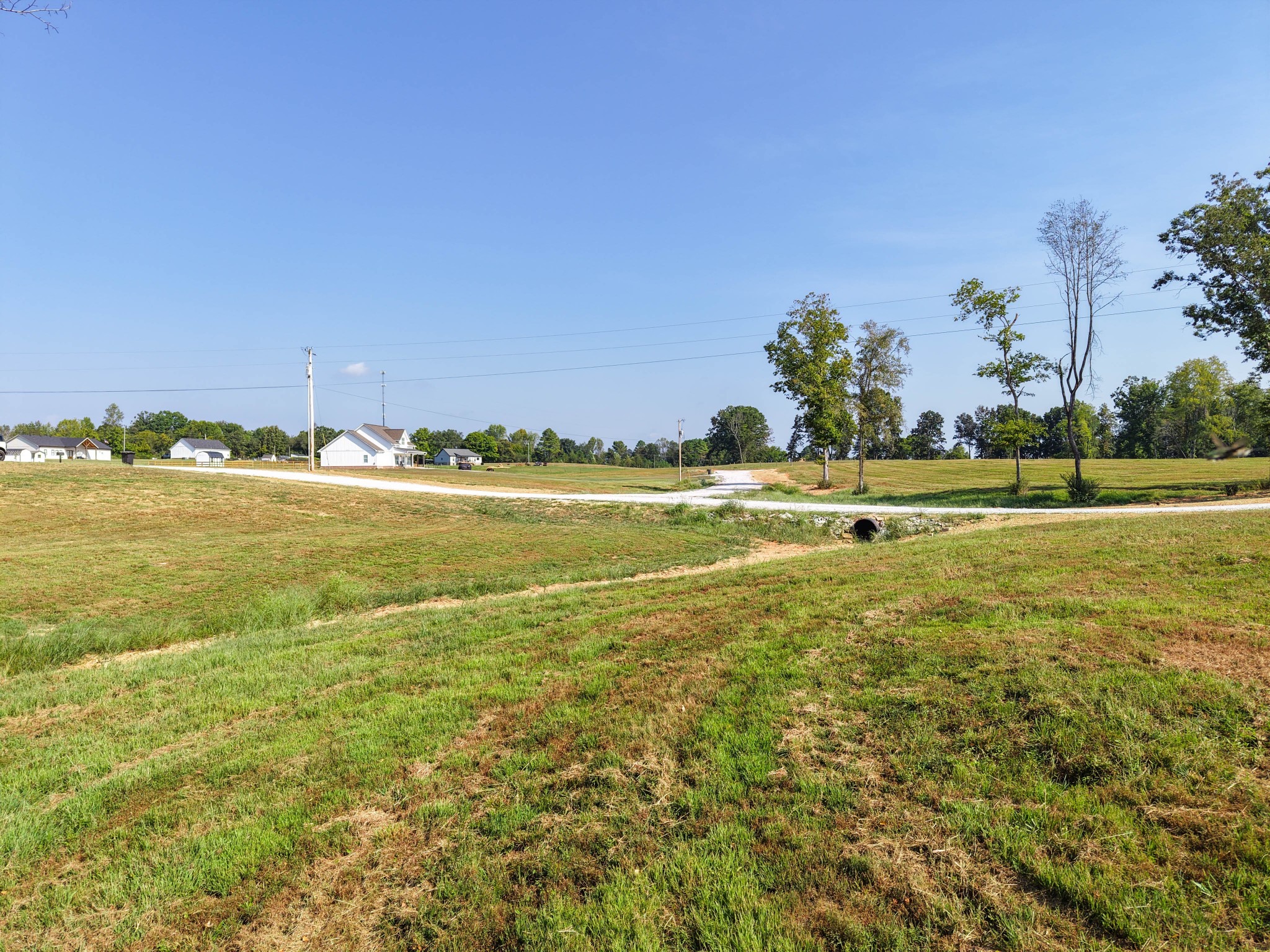 Photo 3 of Land for sale at 0 Bear Dr, Loretto, TN 38469 | MLS# 3594484 | Listing updated on 2026-09-21