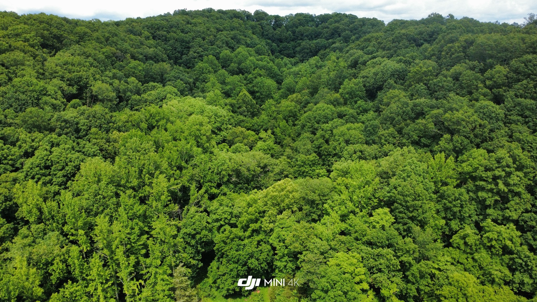 Photo 3 of Land for sale at 4998 Tranham Rd, Whites Creek, TN 37189 | MLS# 3597040 | Listing updated on 2026-09-21