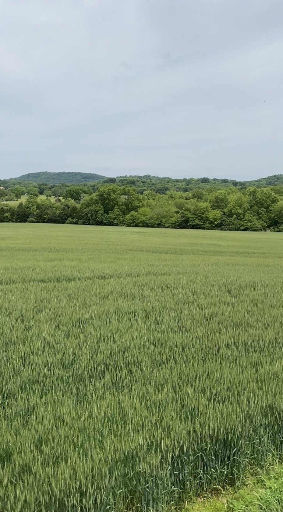 Land for sale at 513 Suzanne Way, Bethpage, TN 37022 | MLS# 3598515