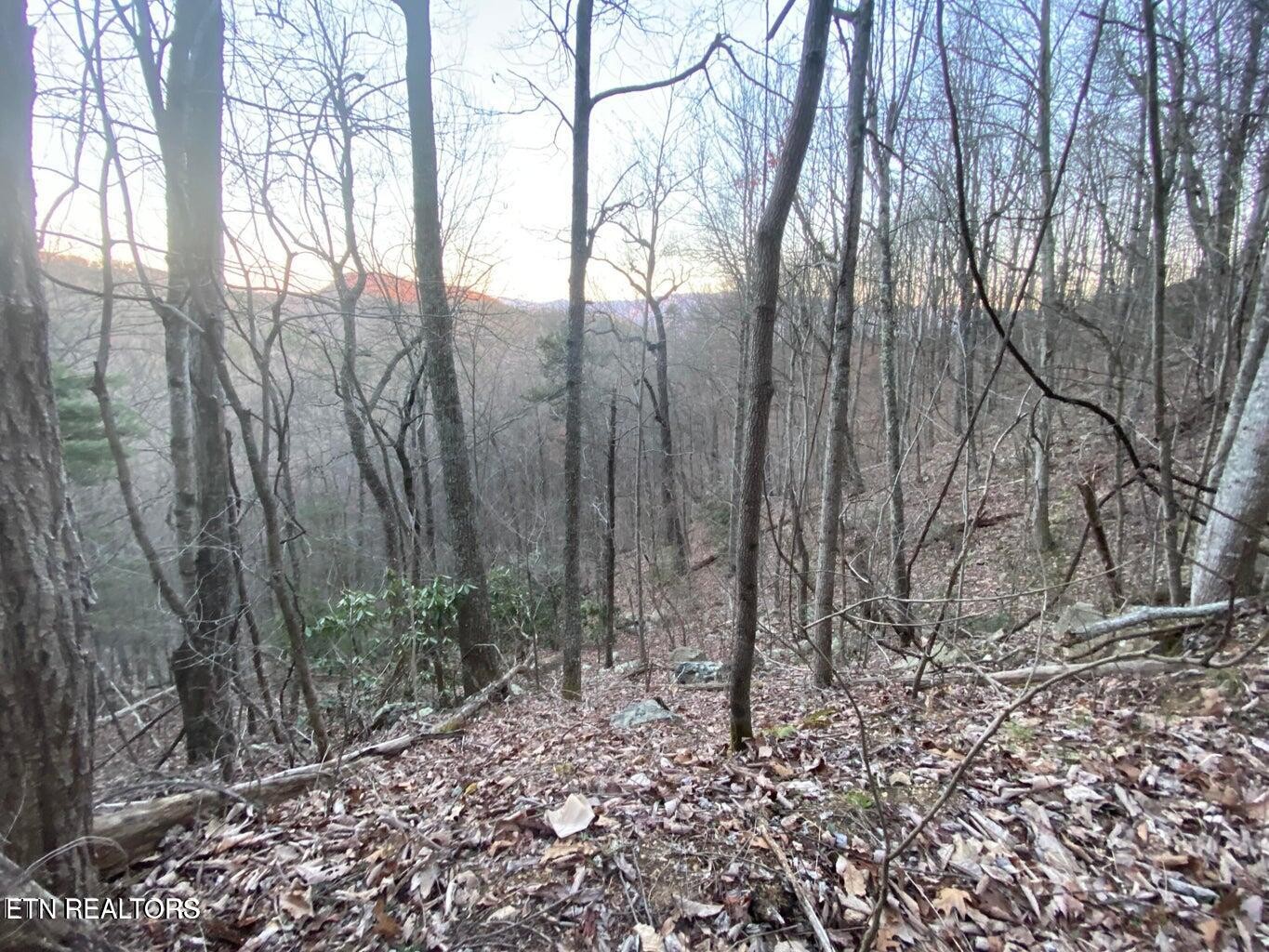 Land for sale at 35 Elderberry Dr, Sevierville, TN 37876 | MLS# 3598859