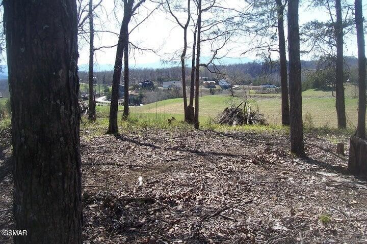 Land for sale at 4 Flat Crk Rd, Sevierville, TN 37876 | MLS# 3599044