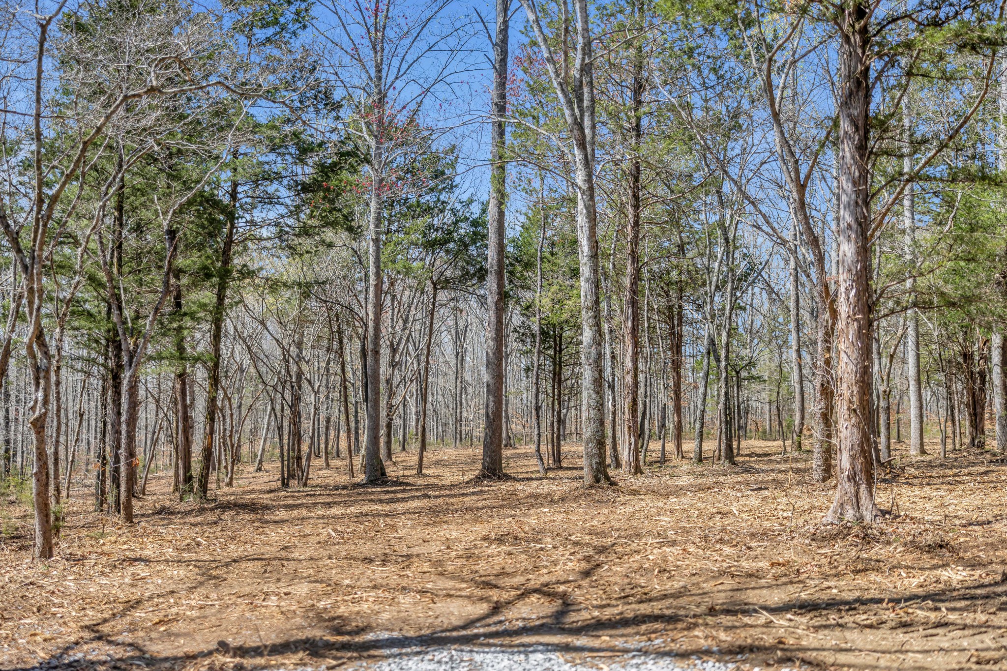 Photo 1 of Land for sale at 0 Cobbler Ridge Rd, Franklin, TN 37064 | MLS# 3626481 | Listing updated on 2026-10-24