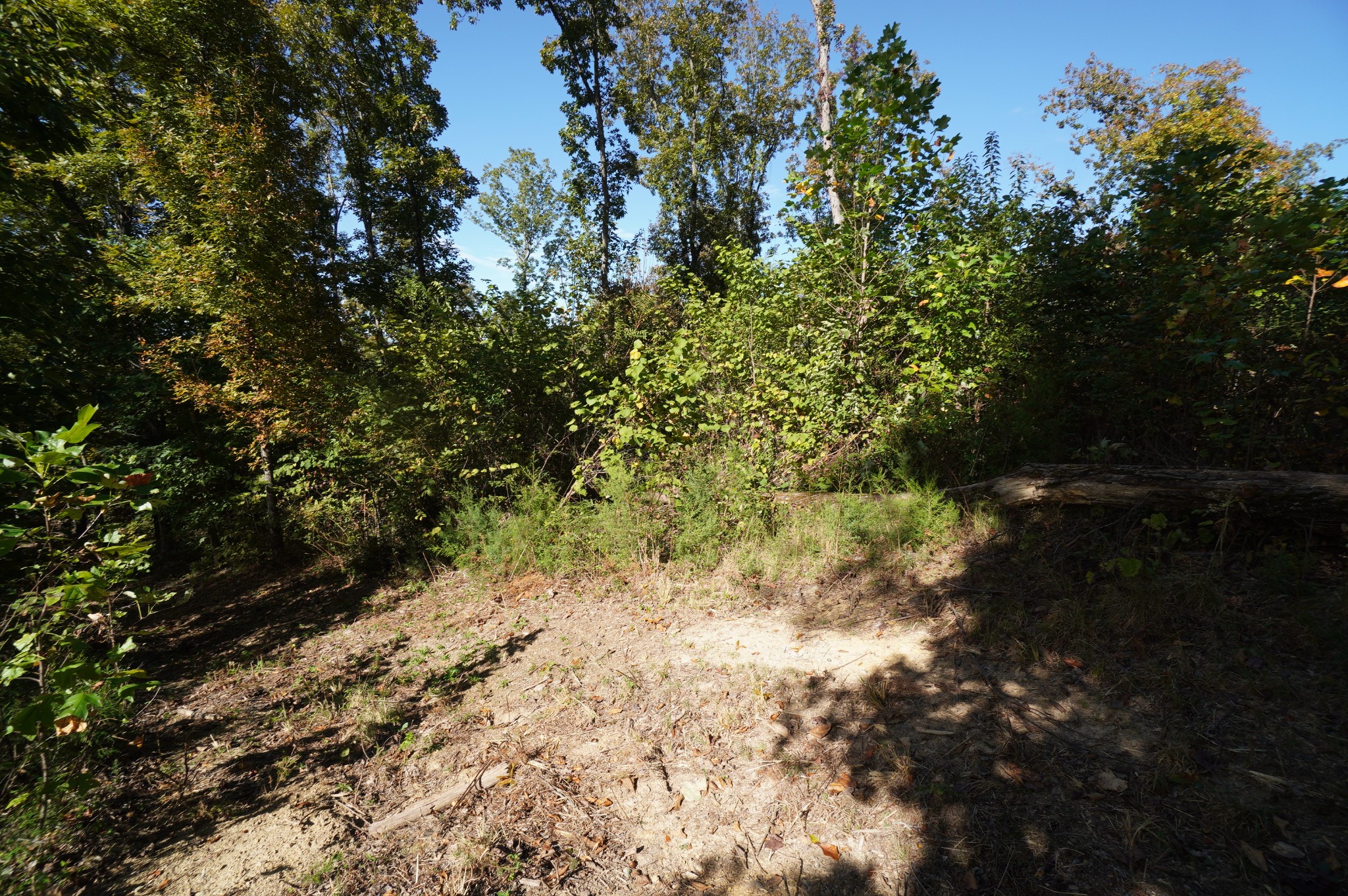 Photo 1 of Land for sale at 0 Brotherton Rd, Jefferson City, TN 37760 | MLS# 3626592 | Listing updated on 2026-10-25