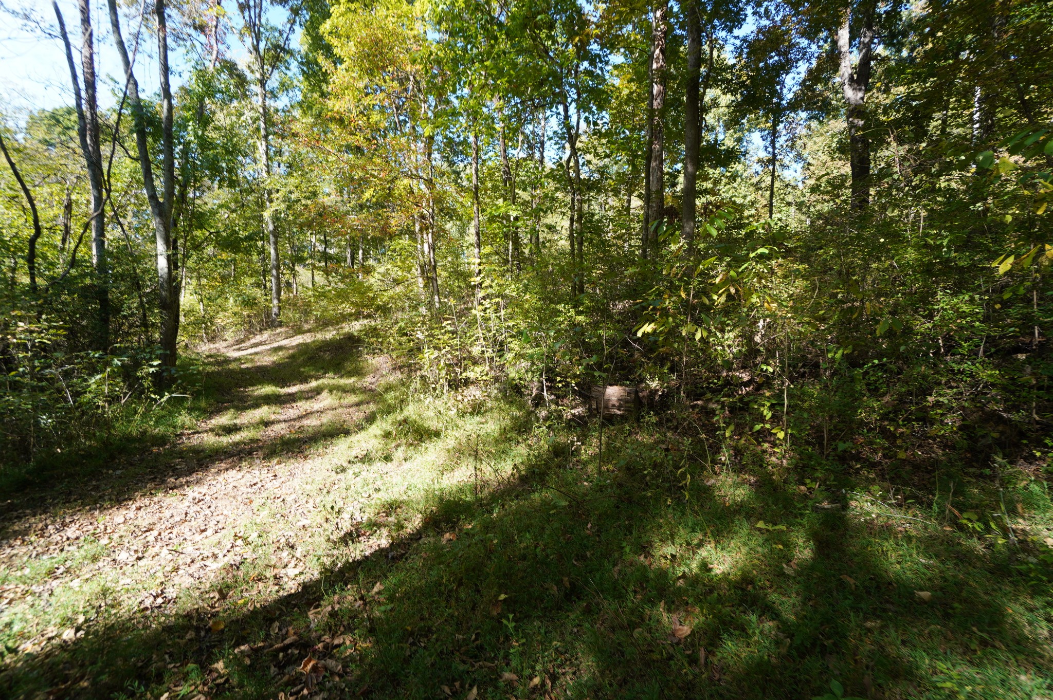 Photo 3 of Land for sale at 0 Brotherton Rd, Jefferson City, TN 37760 | MLS# 3626592 | Listing updated on 2026-10-25