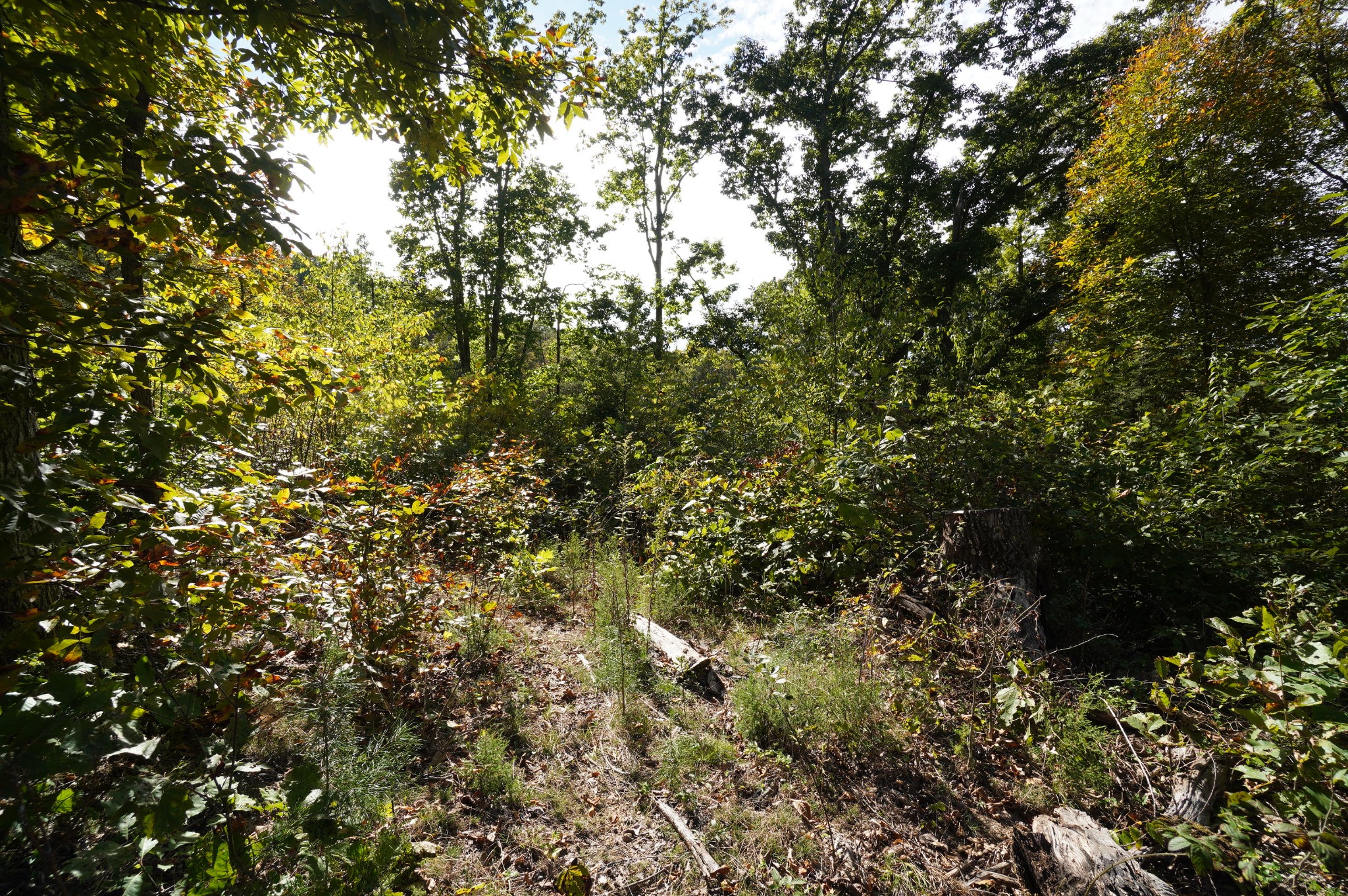 Photo 2 of Land for sale at 0 Brotherton Rd, Jefferson City, TN 37760 | MLS# 3626592 | Listing updated on 2026-10-25