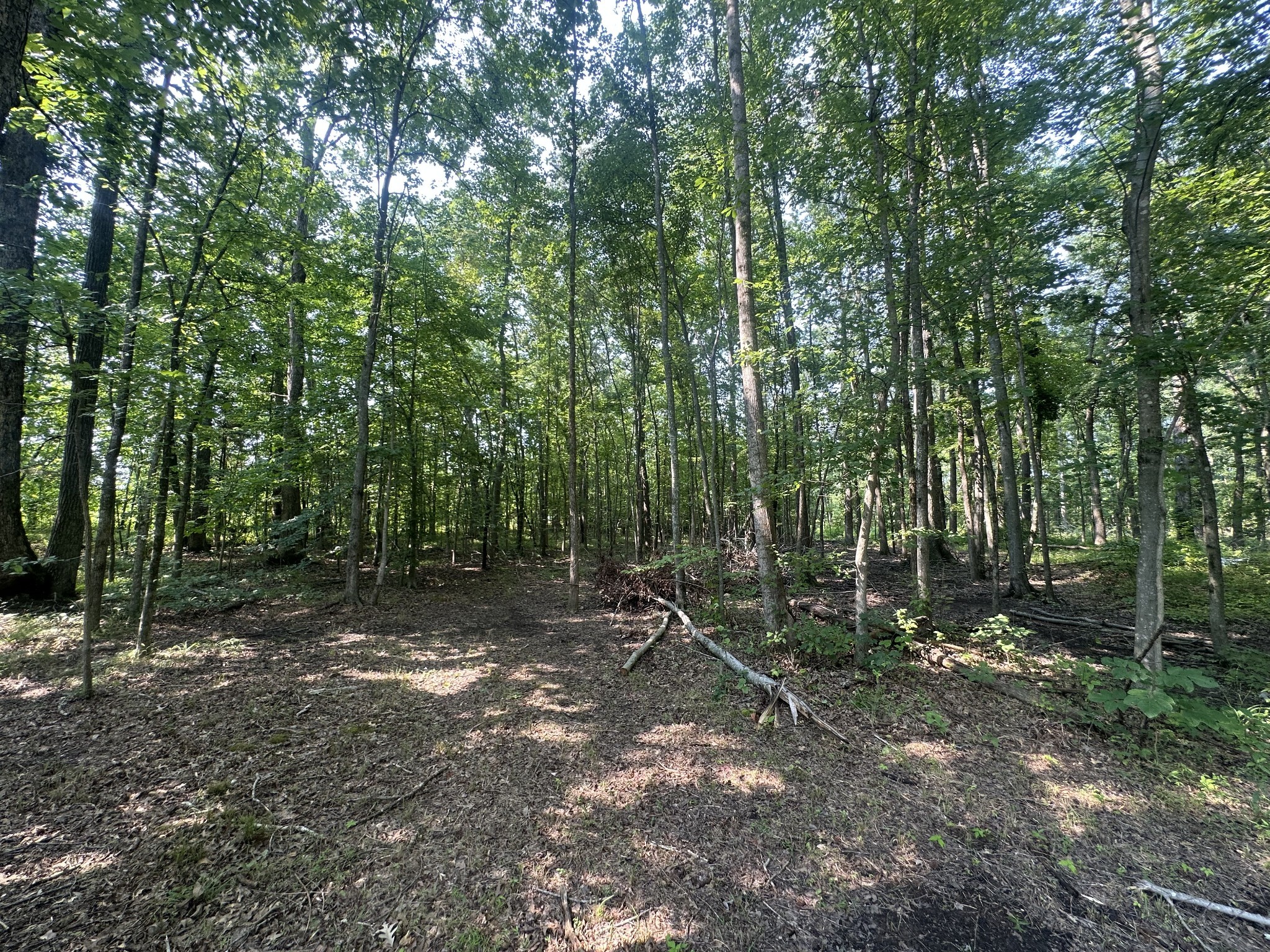Photo 1 of Land for sale at 0 S Pinson Dr, White House, TN 37188 | MLS# 3626724 | Listing updated on 2026-10-26