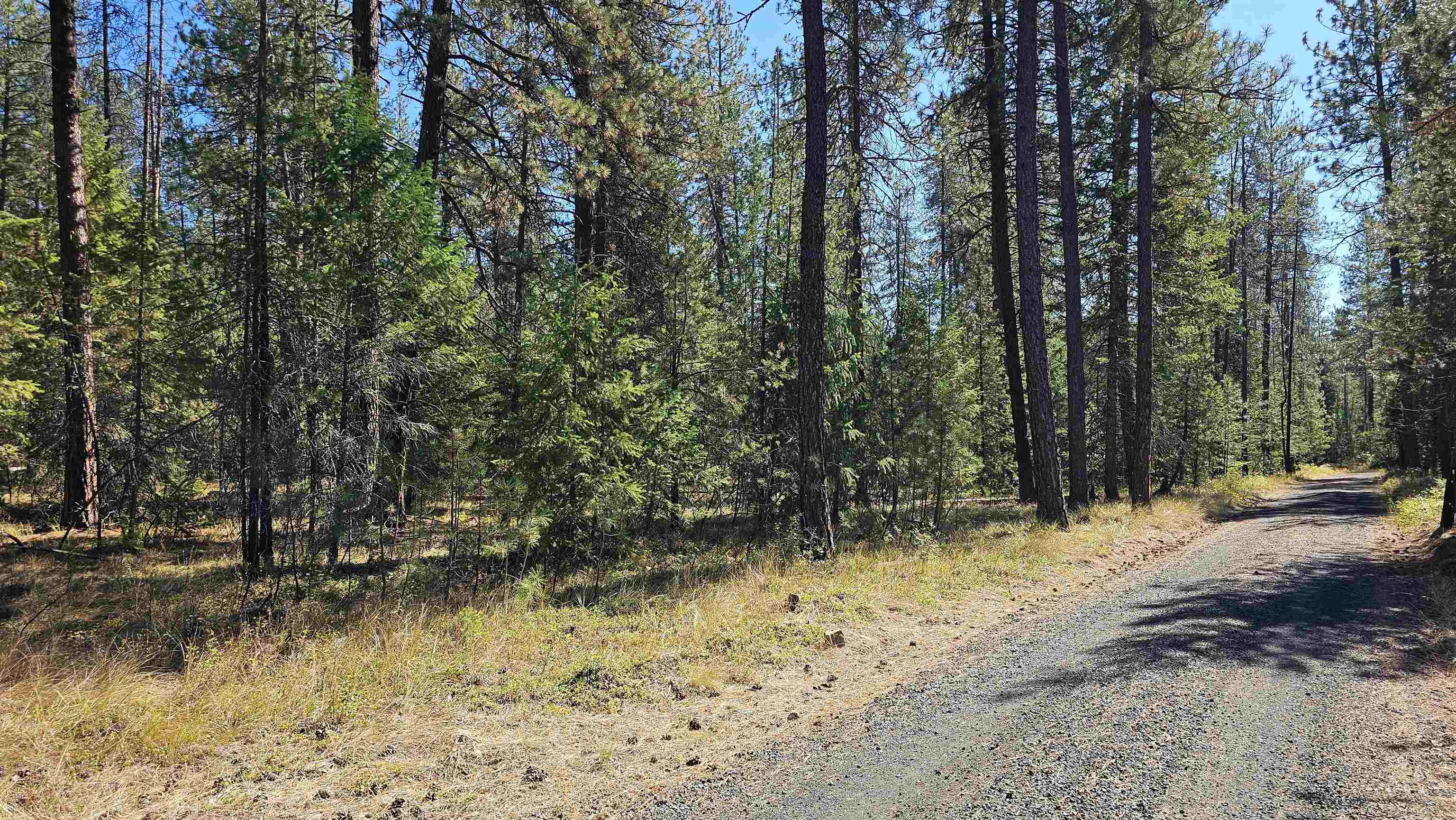 Photo 3 of Land for sale at 385x Agar Rd, Loon Lake, WA 99148 | MLS# 202624571 | Listing updated on 2026-09-21