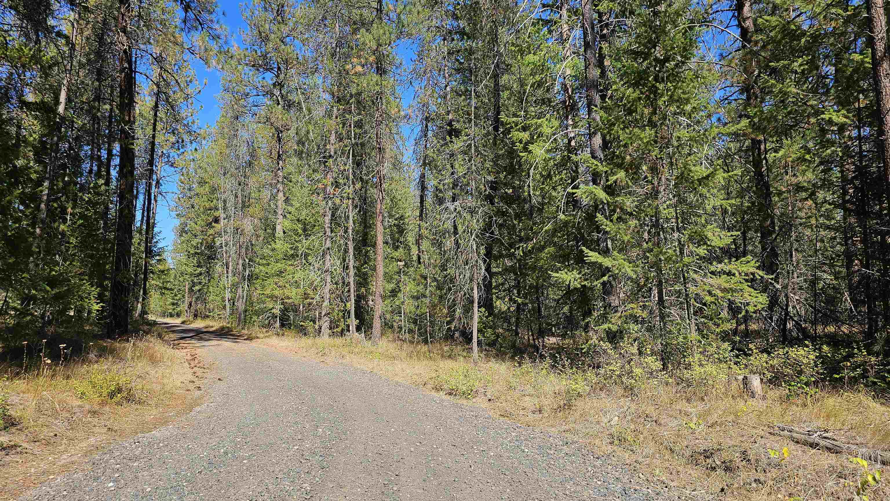 Photo 1 of Land for sale at 385x Agar Rd, Loon Lake, WA 99148 | MLS# 202624571 | Listing updated on 2026-09-21