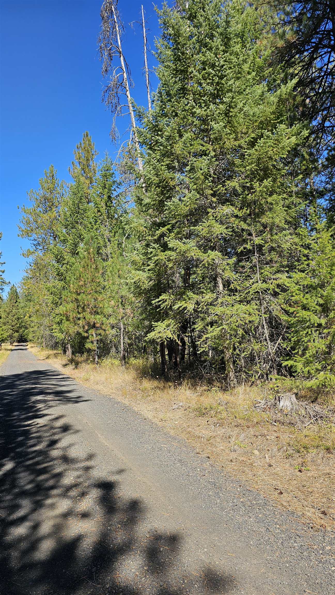 Photo 2 of Land for sale at 385x Agar Rd, Loon Lake, WA 99148 | MLS# 202624571 | Listing updated on 2026-09-21