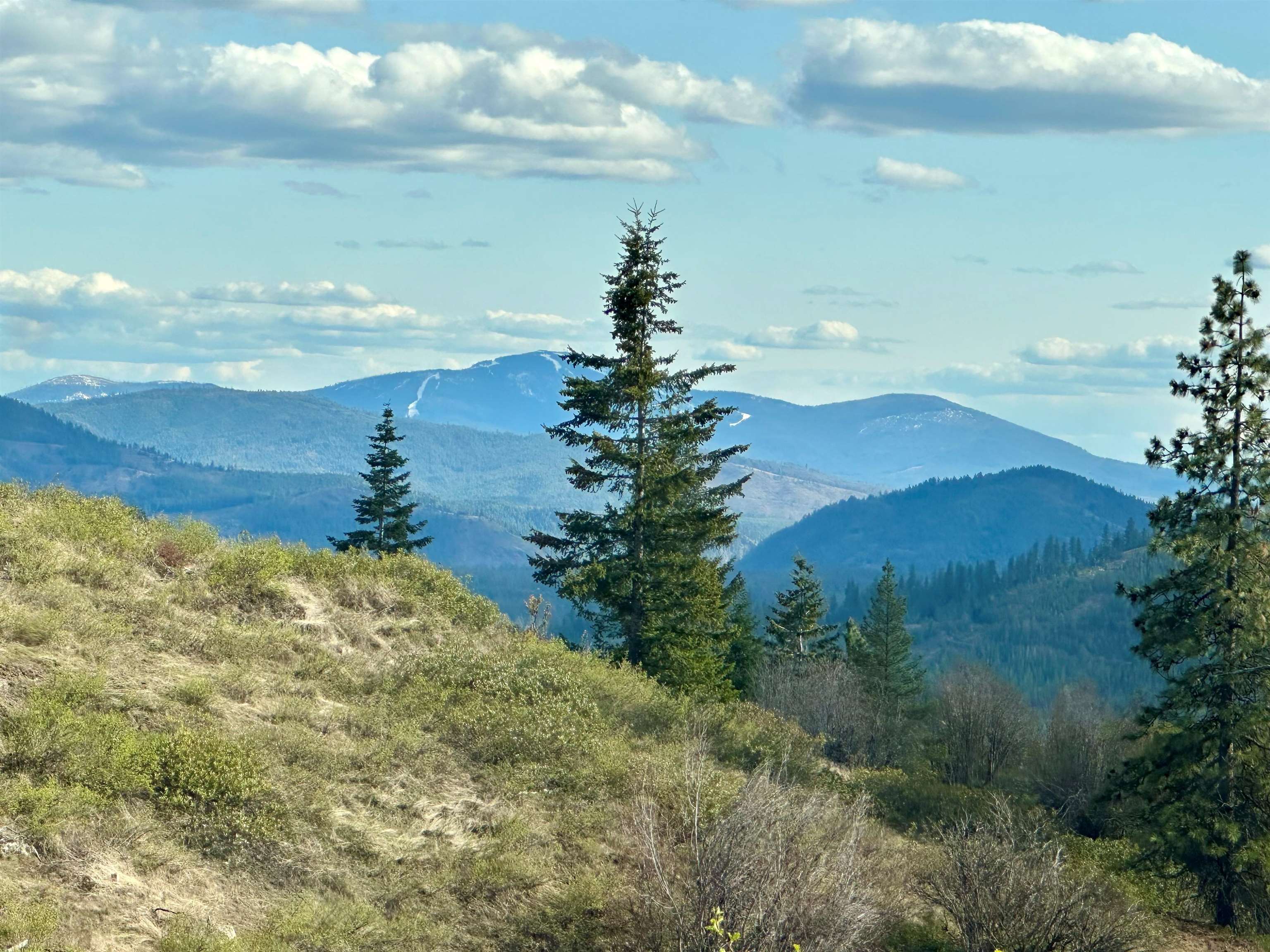 Photo 3 of Land for sale at Nka Hershaw Rd, Newport, WA 99156 | MLS# 202624572 | Listing updated on 2026-09-21